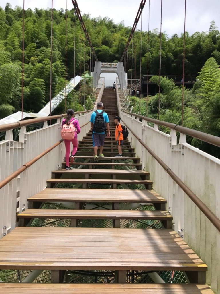 太平雲梯吊橋步道封面圖