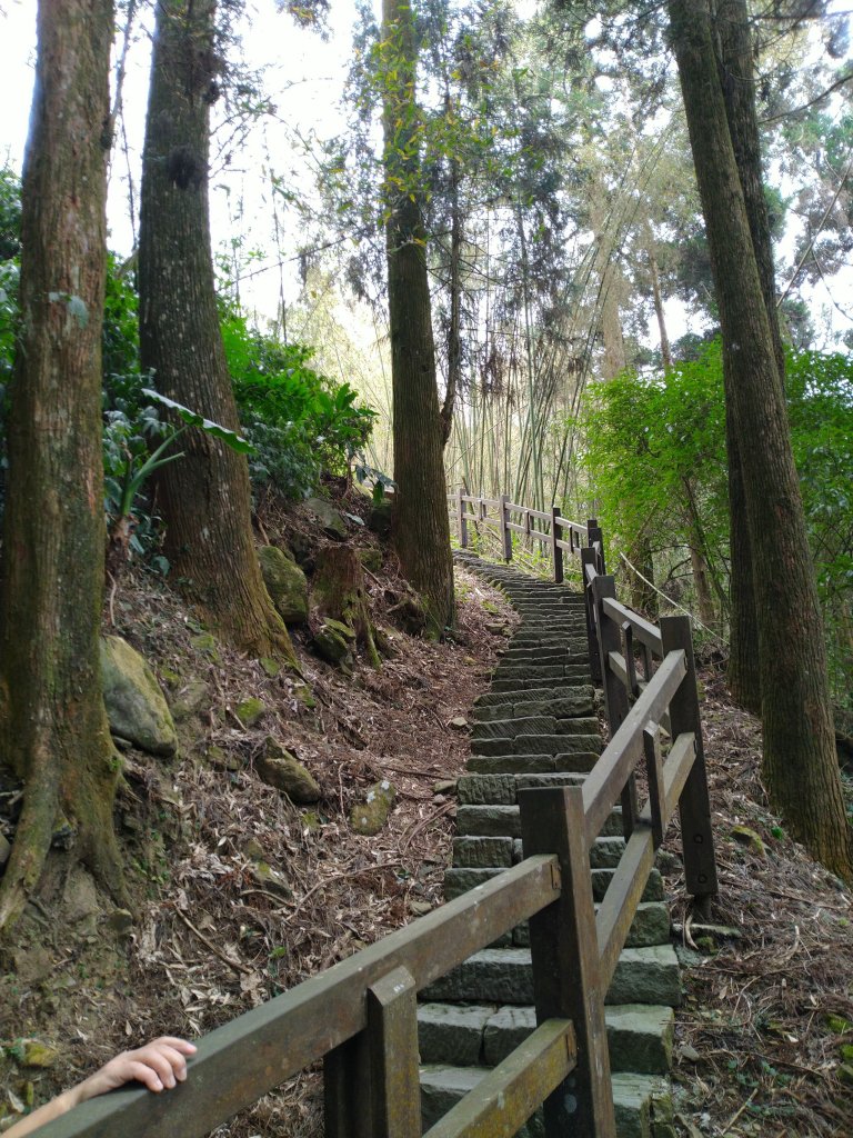 2023-03-04 奮起湖奮起步道_2057735
