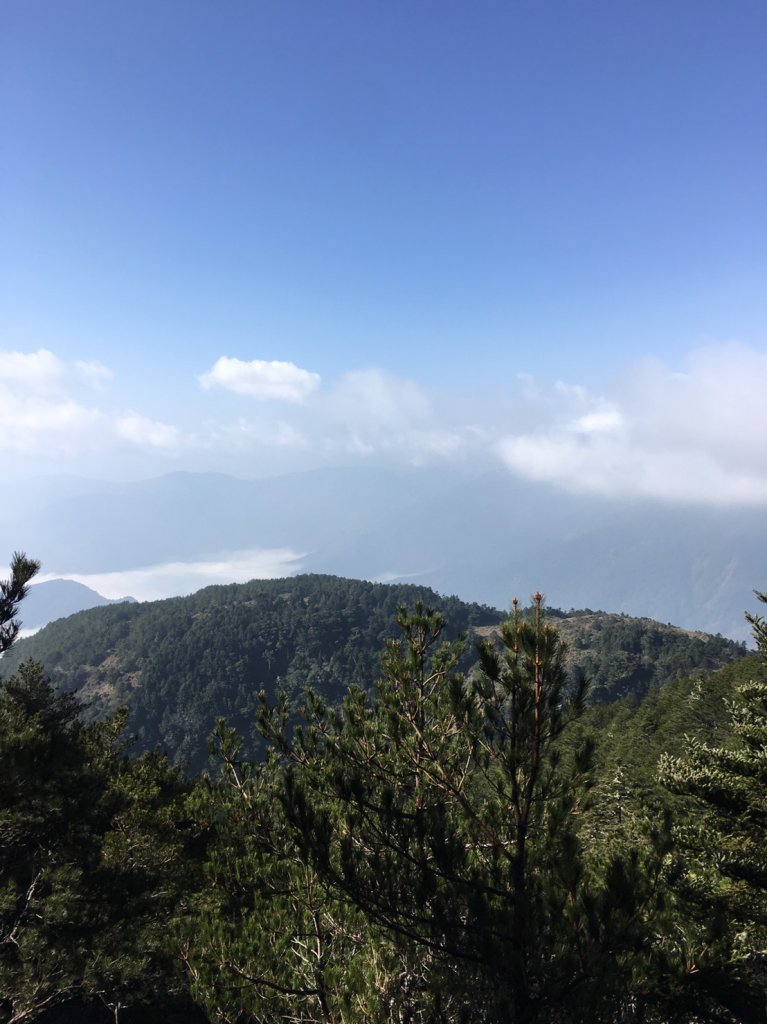 邊緣系山友:四季連放嘉明湖_550286