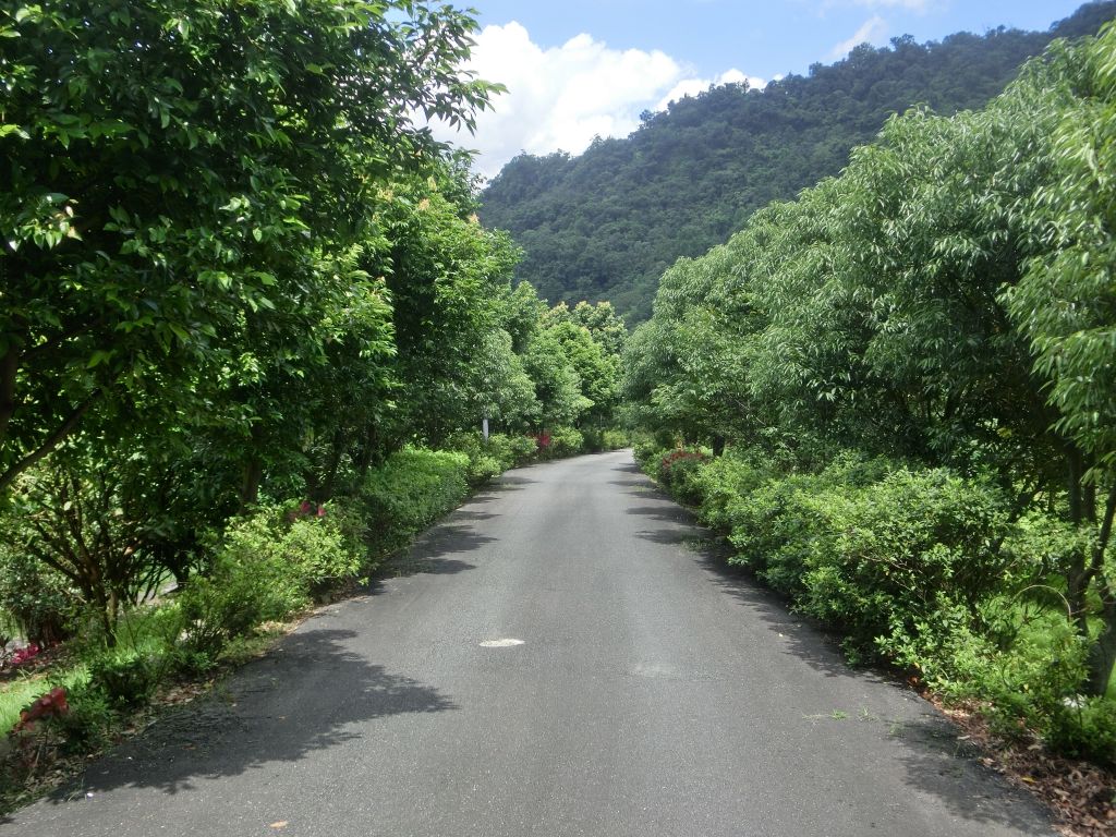 姜子寮絕壁_141470