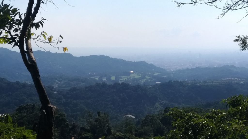 大坑2號步道_411869