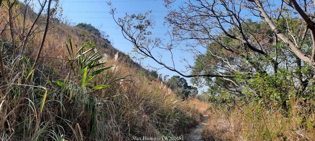 《台中》短暫暖陽｜龍井竹坑南寮步道O繞20260104_2976414