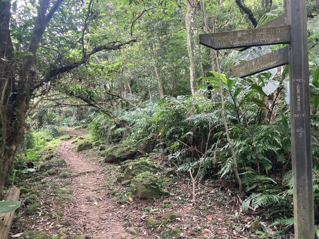 土庫岳_2527734