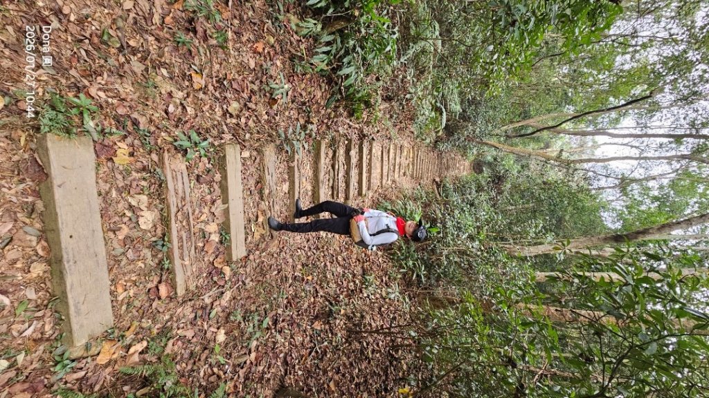20260127三通嶺山.三義山(大桁茂山).慈濟山.大坪山大O走_2989900