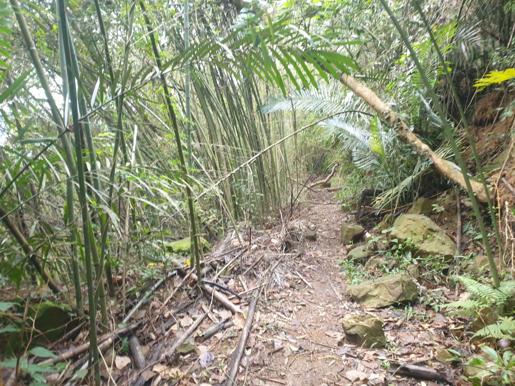 20221127出關古道龍船山出礦坑O型_1972754