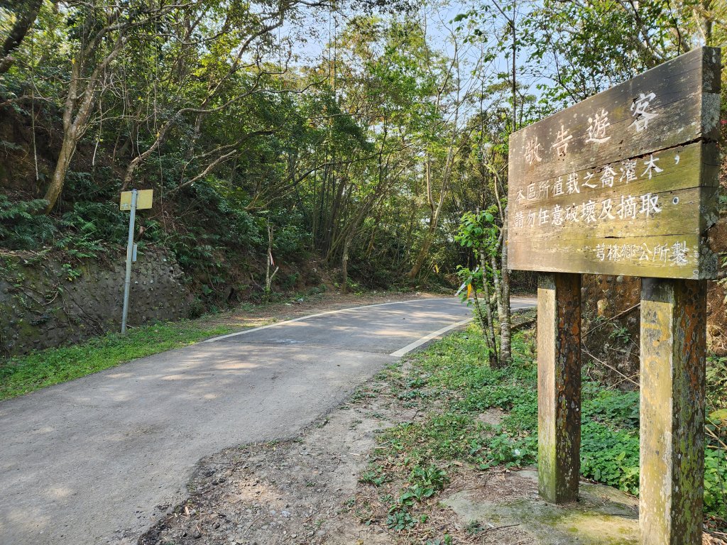 20230312飛茄三爺縱走_2116036