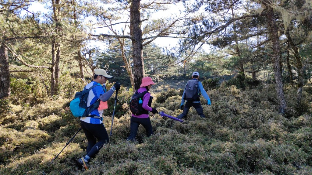 布拉克桑山單攻O繞嘉明湖戒茂斯山 2024年12月8日_2667018