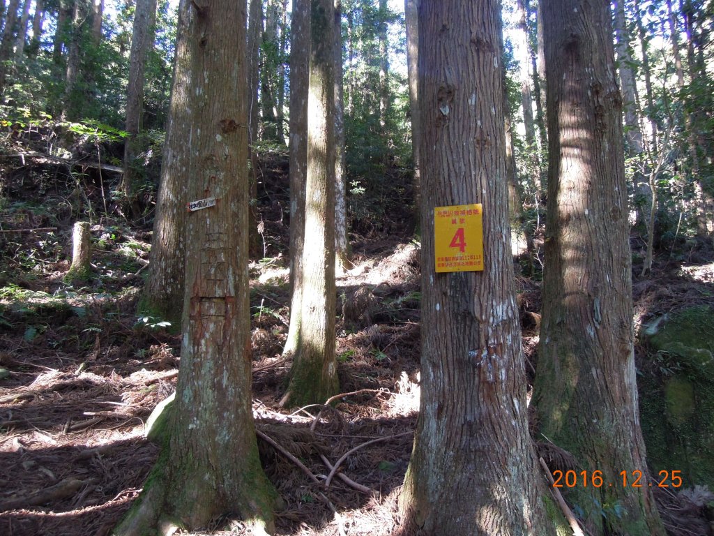 20161225_加里山_874390