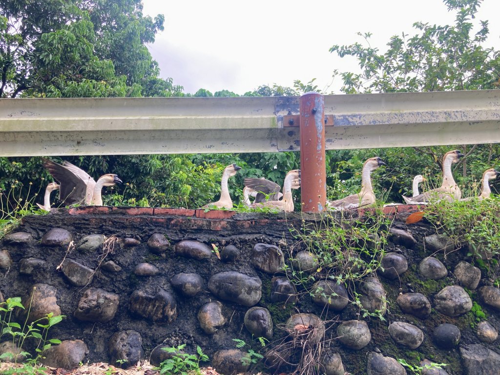 阿罩霧山_2600961