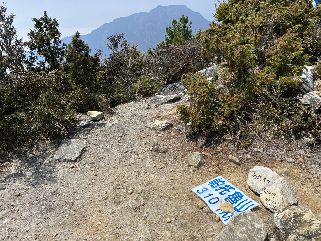 【奇萊東稜D3、4】立霧主山、帕托魯山出岳王亭_2107328
