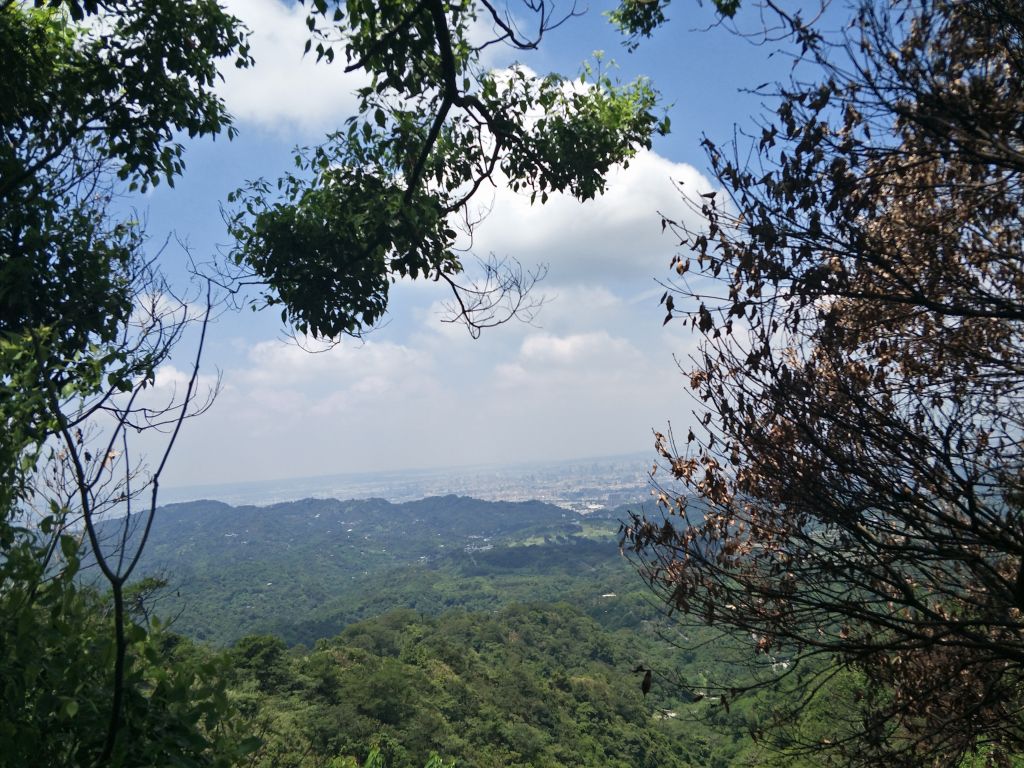 大坑4號步道&頭嵙山_374910