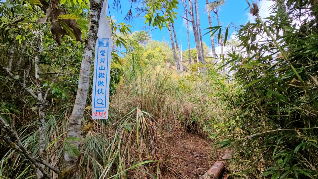 追趕跑跳蹦的羅馬縱走_2666171