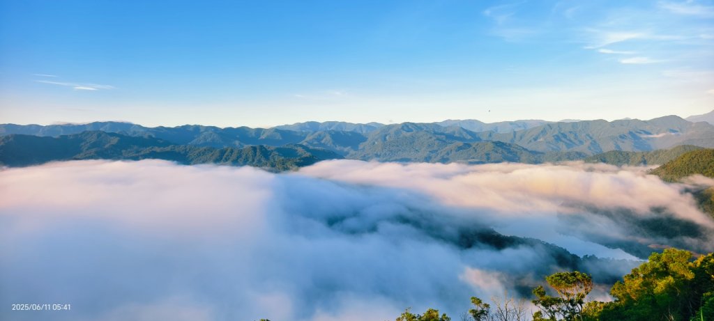 跟著雲海達人山友追雲趣 #草莓月亮 #月圓雲海 #霞光 #日出雲海 #茶園 6/11_2808789