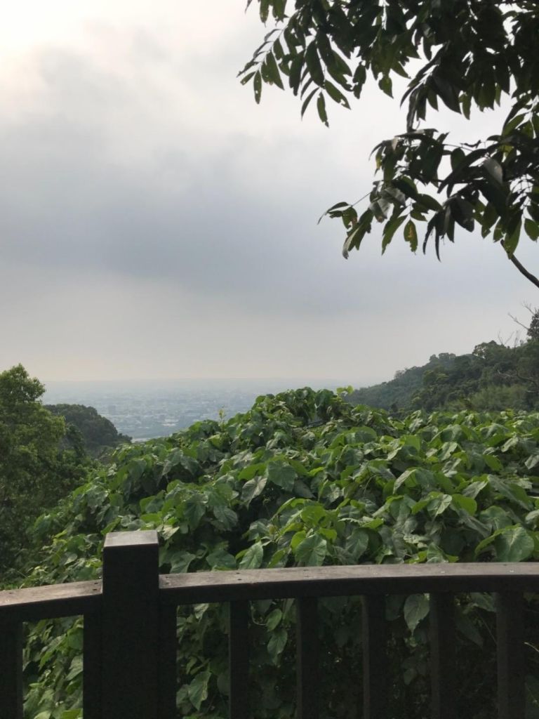 新田山登山步道、聚興山-20180723_370831