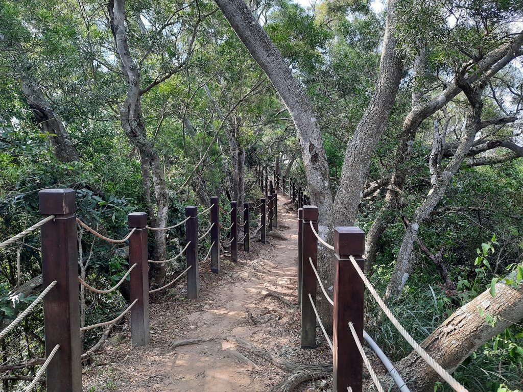 一日大坑_1030081