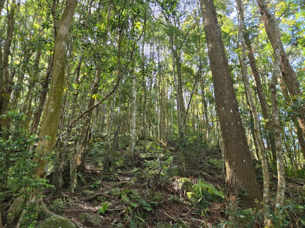 哈堪尼山_2761943