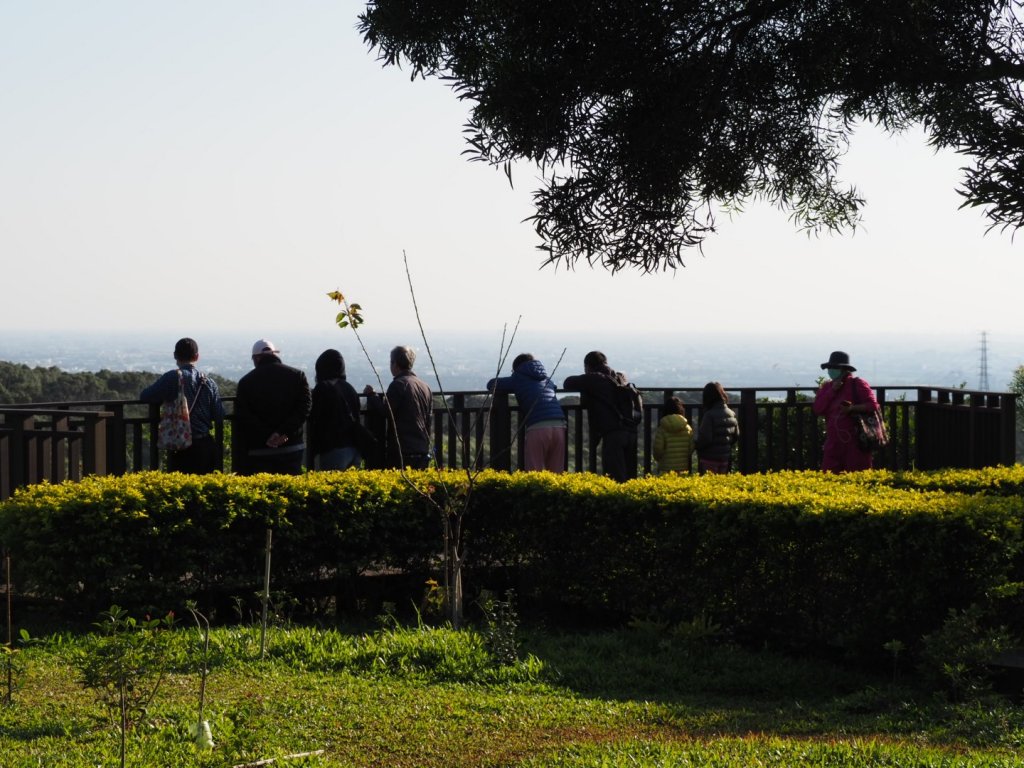 《台中》龍井竹坑南寮登山步道O型_915517
