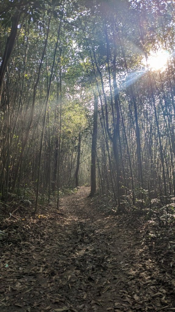 關刀山 出關古道上封面圖