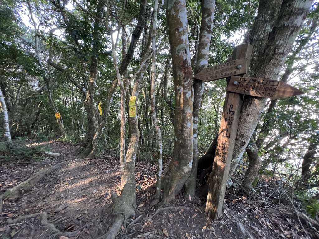 【鳥洗縱走】_1900368