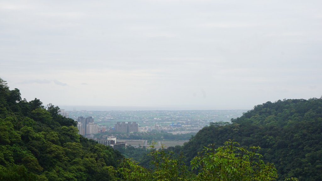 抹茶山 三角崙山封面圖