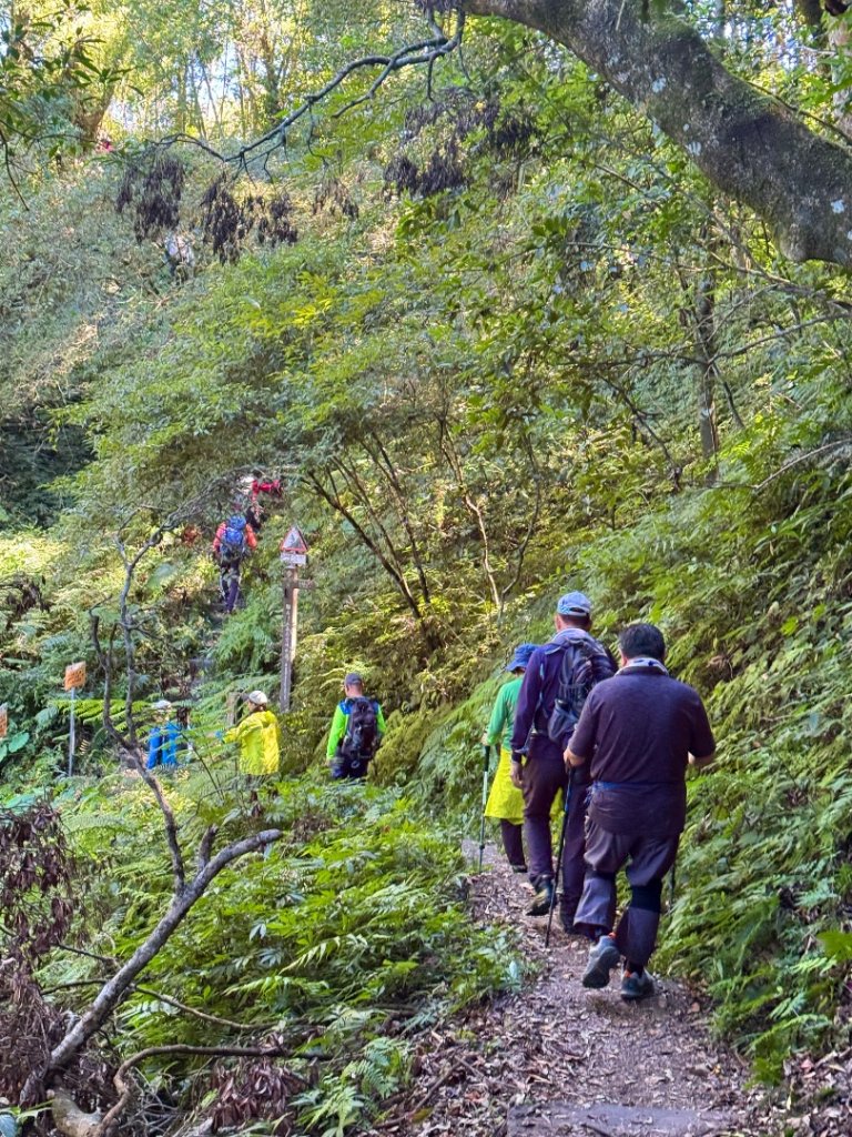 九穹神木 左訪嘉南雲峰 右到好望角看風景上石壁山(小百岳#55)_2944775