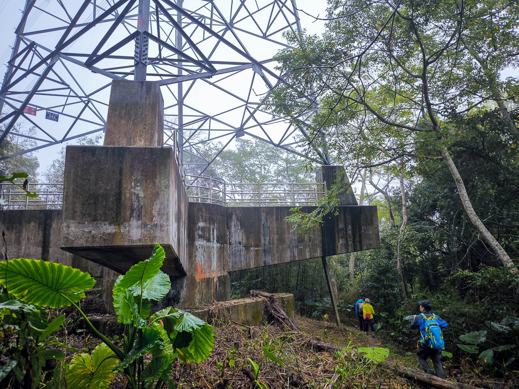 2025-03-08 汶水三山：金童山、汶水山、玉女山 連走_2736504