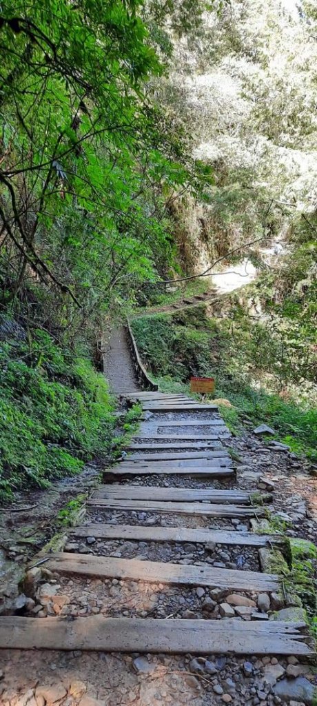 特富野親子遊_1661778