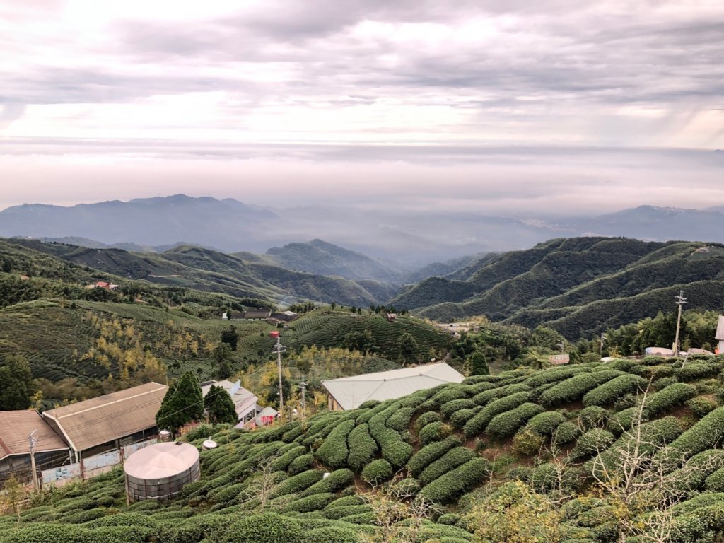 貓空望山、嶺頭山、金柑樹山（小百岳）、忘憂森林_1896988