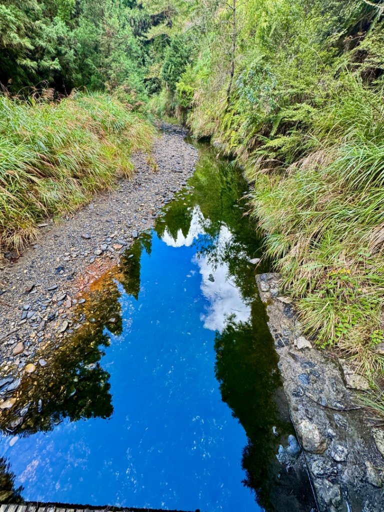 觀霧-榛山步道_2926015