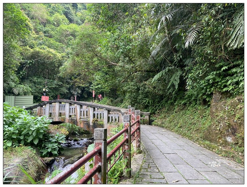 聖母峰、三角崙山 (抹茶山) 連走_2802162