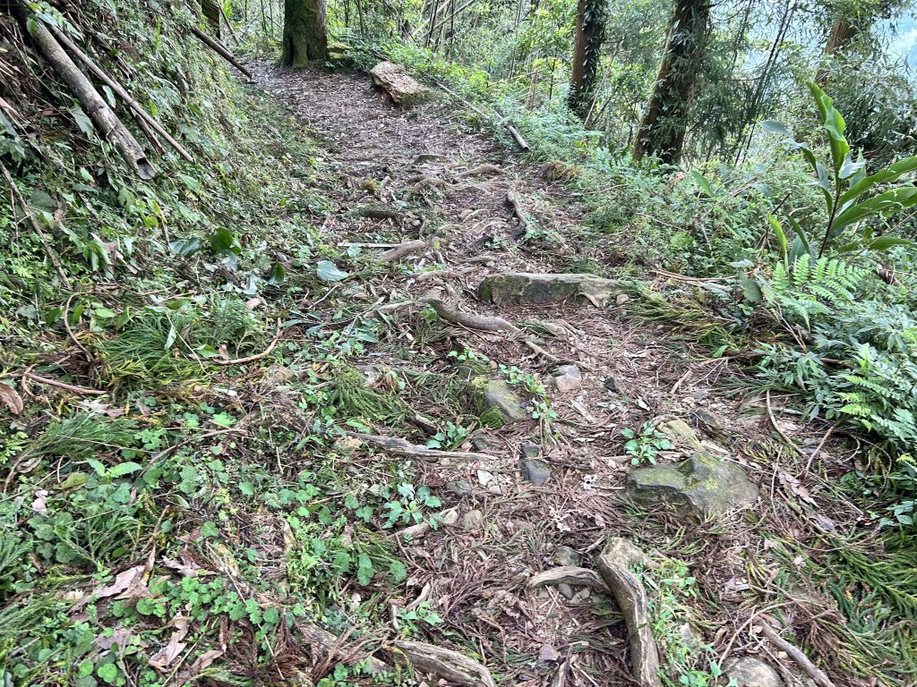 奮起湖大凍山_2598190