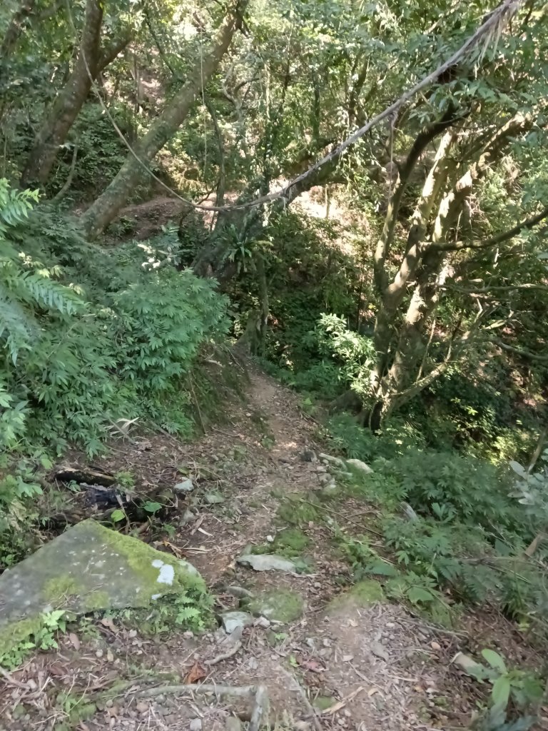 橋板湖山+梗枋山(大溪車站-龜山車站)_2750076