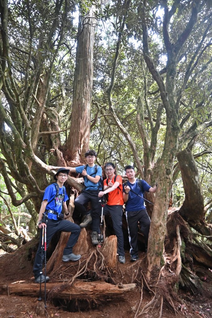 中級山-高島縱走_2888358