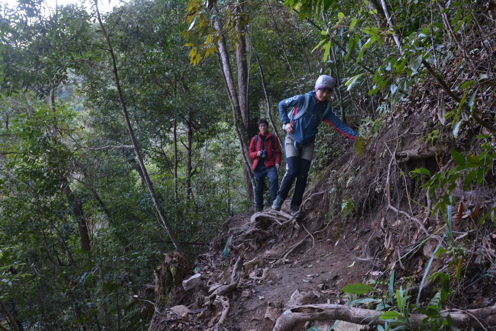 唐麻丹山。蝴蝶谷健行_1239389