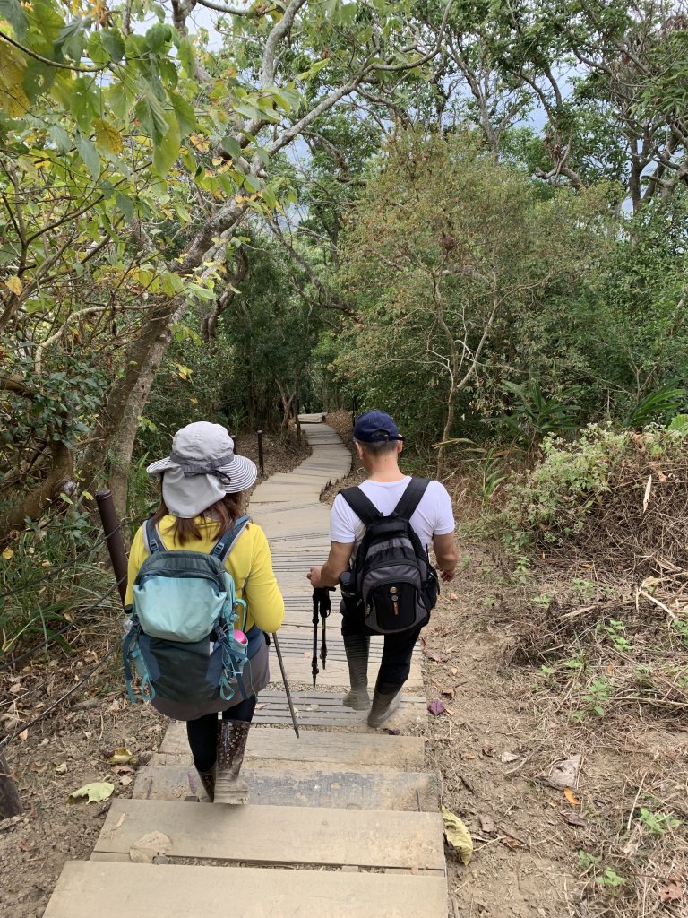 20260117台南阿拉溪斜瀑群縱走糖子恩山-水山頂山_2985217