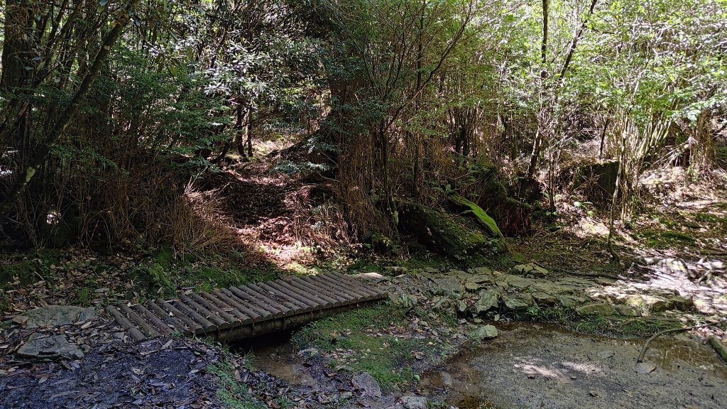 榛山景觀平台_2918110