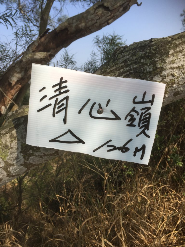 20230125高雄觀音山32連峰_2017739