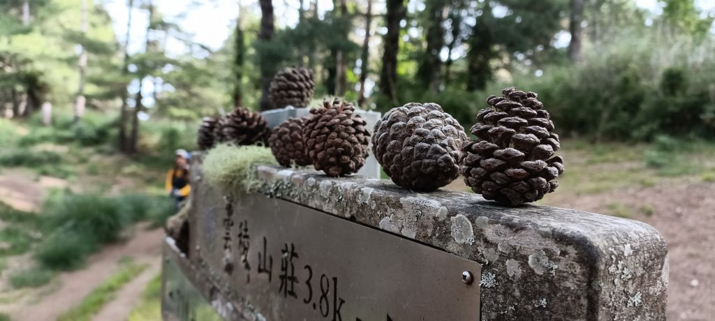 2022-07北一段_1776351