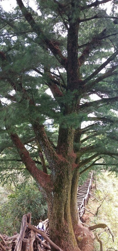 109.09.18 台中 頭嵙山_1107402