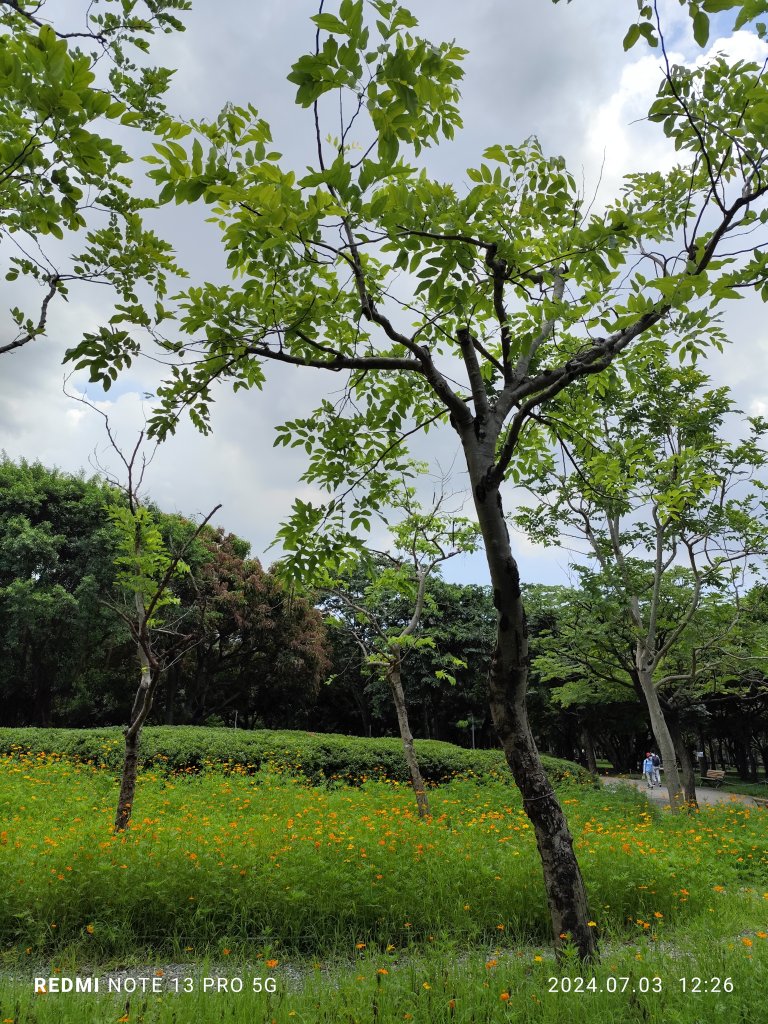 大安森林公園【走路趣尋寶】【臺北健走趣】_2541512