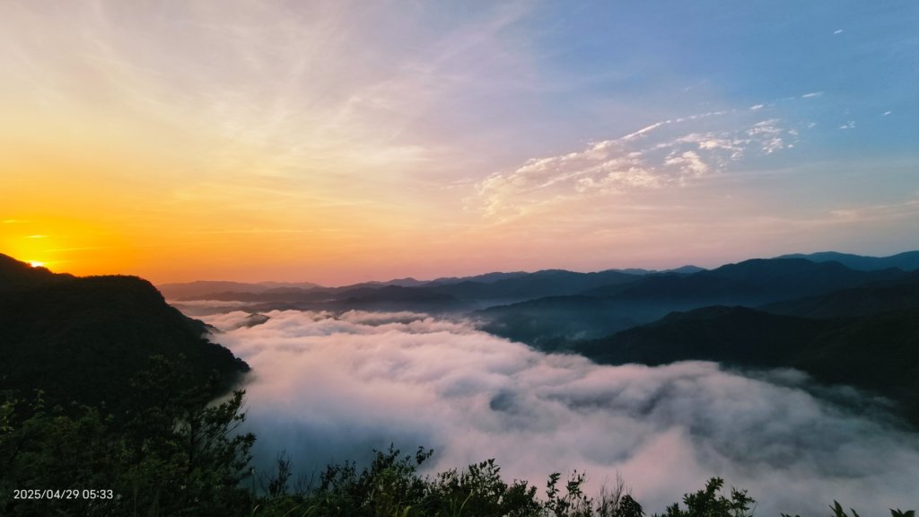 翡翠水庫壩頂 #火燒雲雲海 #日出雲海 #鱷魚島 #藍腹鷴 4/29_2772697