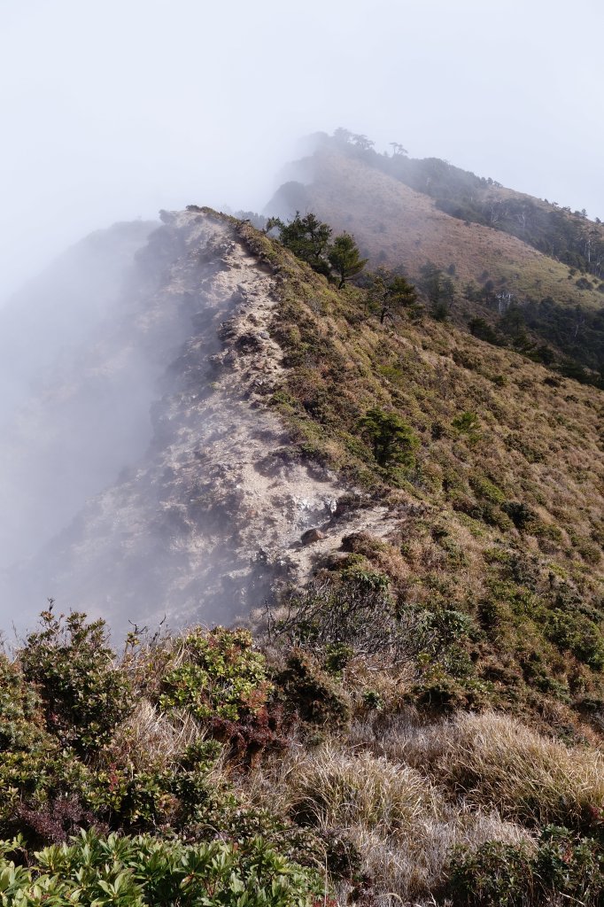 荊棘海[南一段+南橫三星]_871894