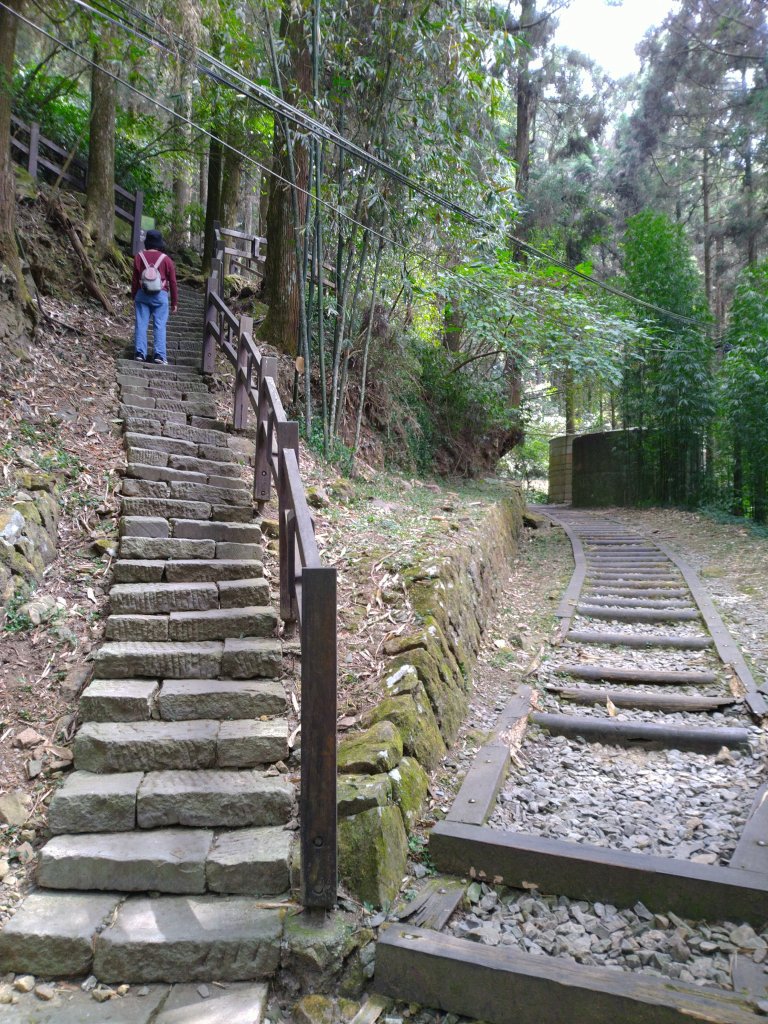 2023-03-04 奮起湖奮起步道_2057732