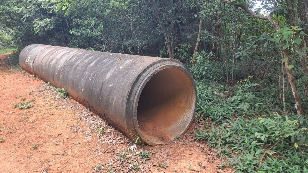 (4/10)蓮華山古道群：飛龍步道，進香步道，採茶古道，載熙古道_2247353