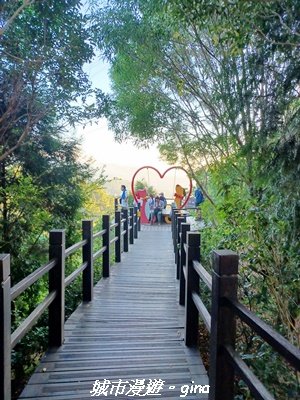 【台中北屯】大坑9-1x9號步道小O繞_2945952