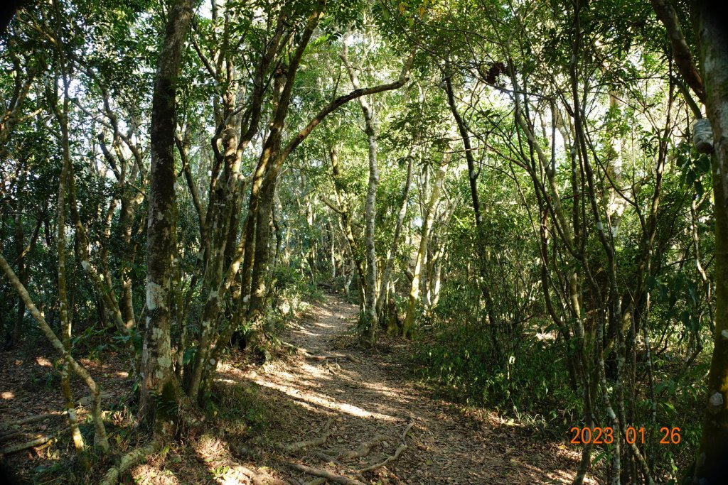 屏東 春日鄉 力里山_2018655