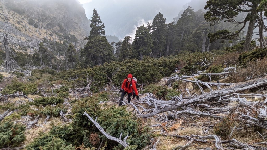一日志雪_1406529