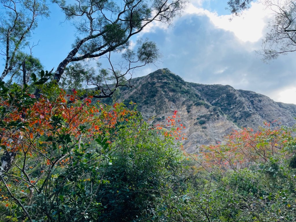 1150123里龍山_2986736