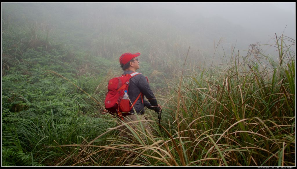 魚路古道-大油坑山-挑硫古道_378892