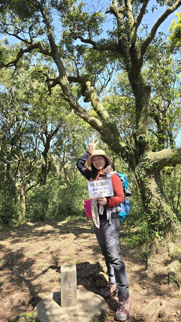 2025竹子湖海芋季美不勝收，最受歡迎的國家公園陽明山國家公園，親子皆宜，適合各式玩家_2747608